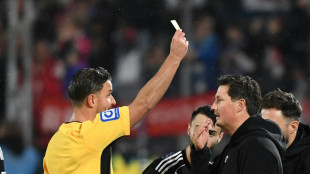 Schiri-Frust beim HSV - Schlager erklärt sich