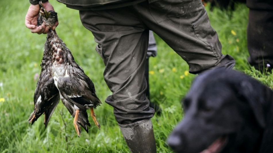 So viel J&auml;gernachwuchs wie noch nie: Mehr als 18.000 Jungj&auml;ger bestehen Pr&uuml;fung