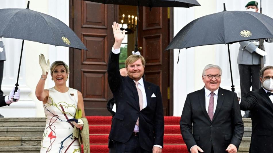Bundespr&auml;sident Steinmeier zu Staatsbesuch in den Niederlanden