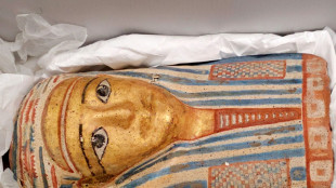 Australian museum recovers Egyptian artefacts after break-in