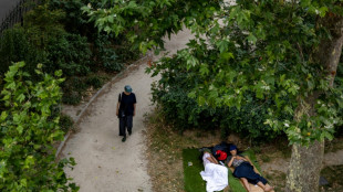 Parques de Paris viram 'hot&eacute;is' na noite mais quente registrada na Fran&ccedil;a