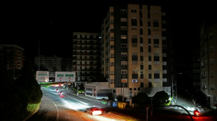 La competencia espa&ntilde;ola abre expediente sancionador a varias empresas por el apag&oacute;n el&eacute;ctrico