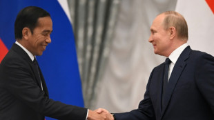 Putin no viajar&aacute; a Bali para la cumbre del G20