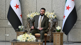 Le Conseil de s&eacute;curit&eacute; de l'ONU en visite &agrave; Damas pr&egrave;s d'un an apr&egrave;s la chute d'Assad