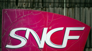 Lignes SNCF "d&eacute;grad&eacute;es": deux trains d'usagers "exasp&eacute;r&eacute;s" attendus &agrave; Paris
