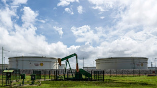 La OPEP mantiene su previsi&oacute;n de crecimiento de la demanda de petr&oacute;leo para 2024