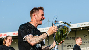 Hecking holt Nobody: Strobl neuer Wolfsburg-Trainer