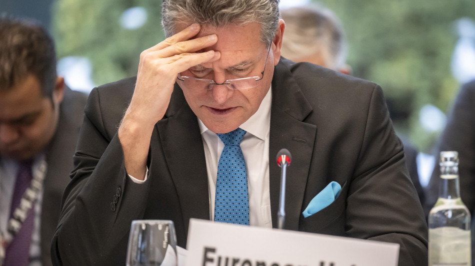 Sefcovic, 'con l'India gi&ugrave; i dazi su vini-olio, benissimo sull'auto'