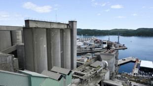 Chef von Chemiekonzern Evonik fordert Abschaffung von EU-Emissonshandel