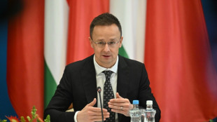 Ungarn: Orbans Ex-Au&szlig;enminister wechselt zu chinesischem E-Auto-Hersteller BYD