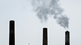 UE revisa seu mercado de carbono ap&oacute;s pedidos da ind&uacute;stria