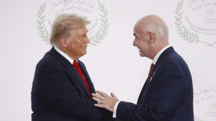 Mondiali: ai titolari di biglietti facilitazioni per i visti Usa