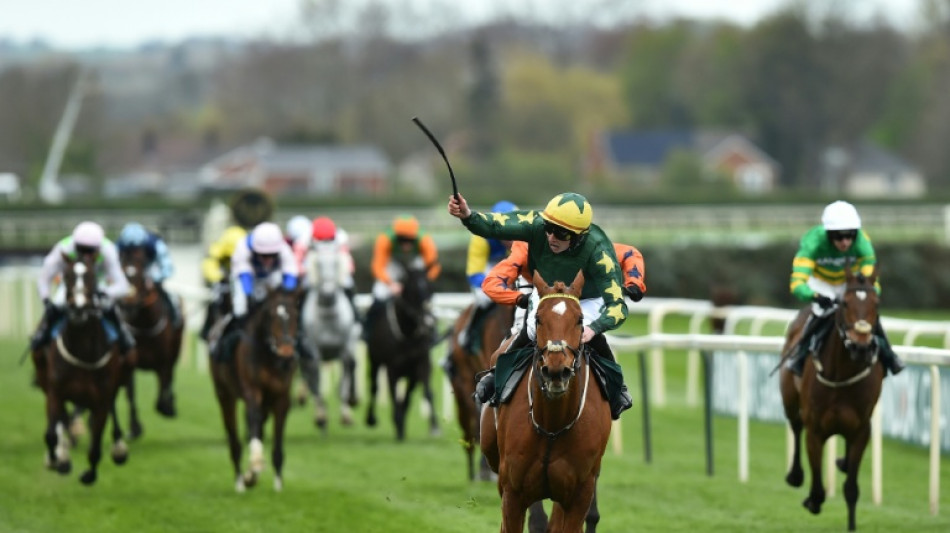 Will The Wise wins Topham as tragedy strikes Gold Dancer 