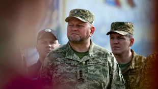 Ukrainischer Pr&auml;sident Selenskyj setzt Armeechef Saluschnyj ab