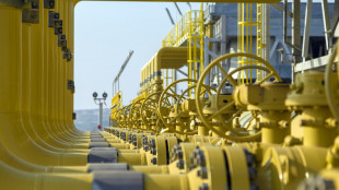 Il prezzo del gas chiude in deciso rialzo e sfiora i 50 euro