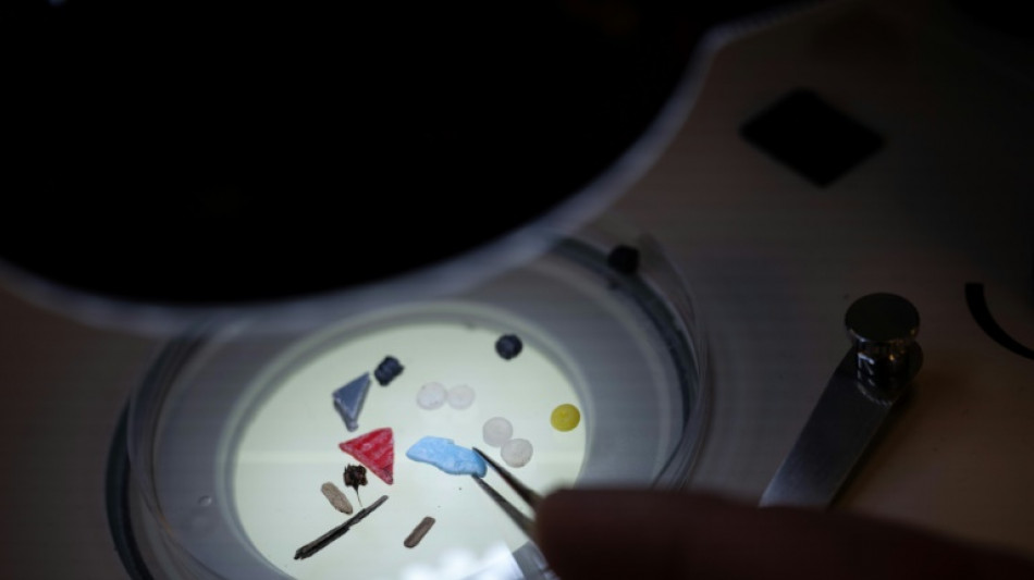 De l'Elbe &agrave; l'Ebre, les grands fleuves europ&eacute;ens envahis par les microplastiques