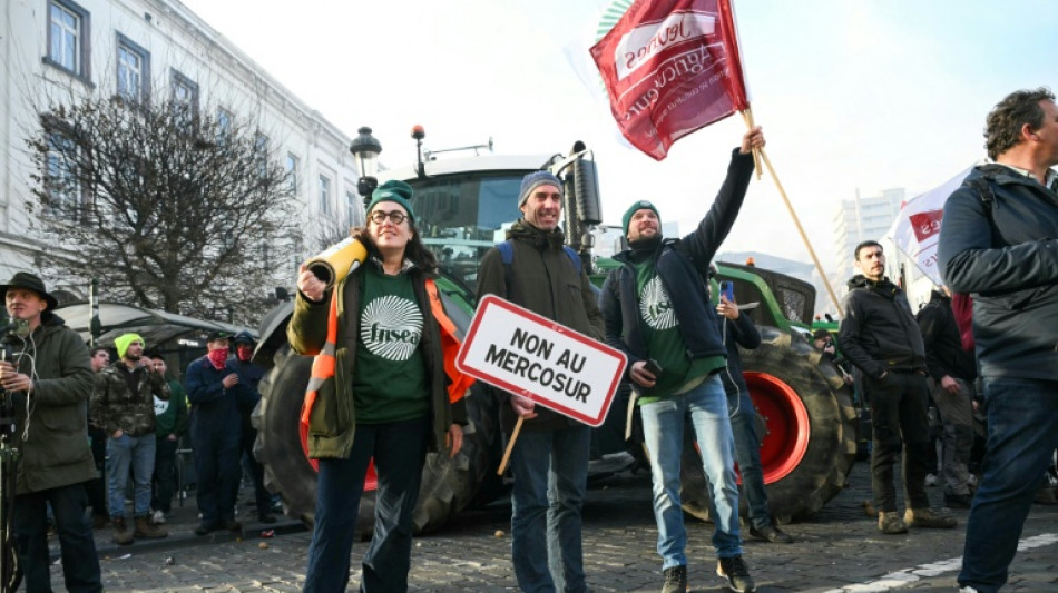 Mercosur-Abkommen: EU bietet Landwirten vorzeitigen Zugriff auf Haushaltsgelder an