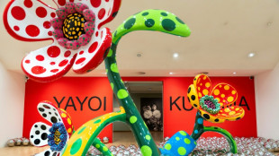 'A celebration': Amsterdam museum unveils Kusama show weeks after death