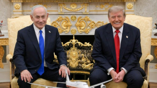 Netanjahu trifft Trump inmitten von Iran-Krieg - Wei&szlig;es Haus: "Positive" Gespr&auml;che