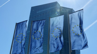 Renzetti (Bankitalia), esercenti partecipino a pilot euro digitale
