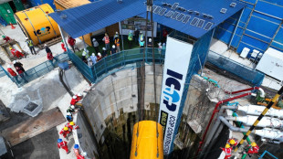 Icop chiude 2025 in forte crescita, utile +92%, ricavi totali +135%