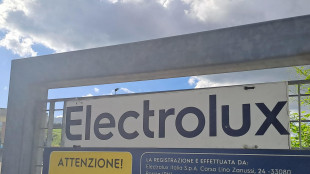 Electrolux: Urso convoca tavolo il 25 maggio