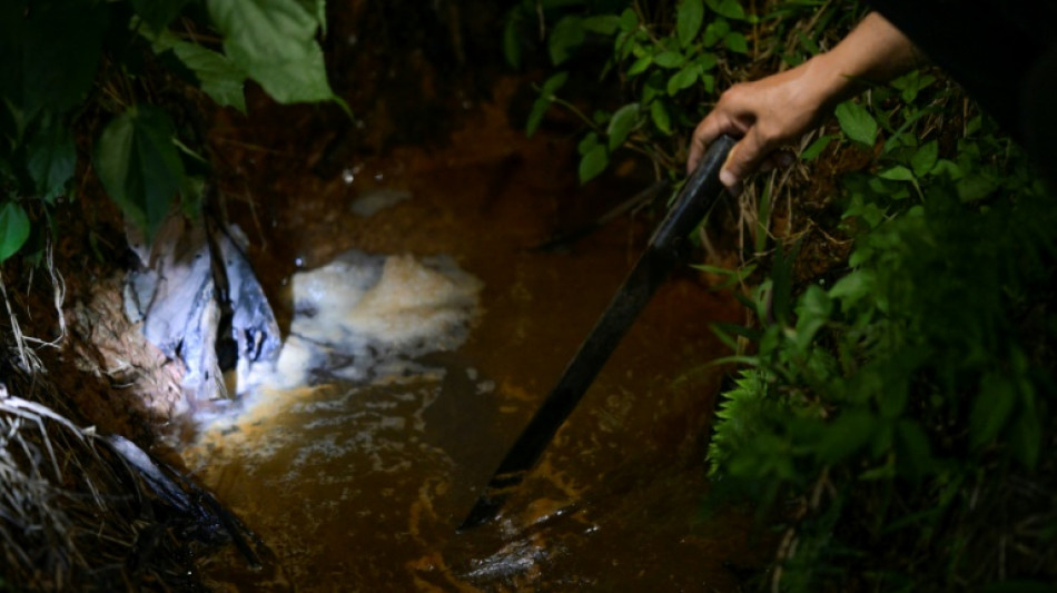 Derrame de petr&oacute;leo en Amazonia ecuatoriana por "sabotaje" en oleoducto