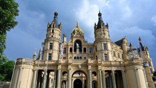 Mecklenburg-Vorpommern: 19 Parteien mit Landeswahllisten zugelassen