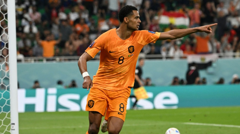 Gl&uuml;cklicher Sieg gegen Senegal: Niederlande jubeln sp&auml;t