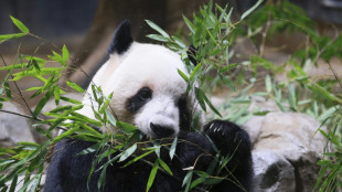 A Tokyo, des admirateurs font leurs adieux aux deux uniques pandas repartant en Chine