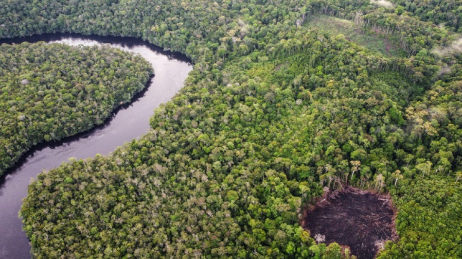 El responsable del organismo de control de objetivos clim&aacute;ticos empresariales dimite tras una pol&eacute;mica