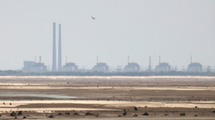 Russland wirft Ukraine T&ouml;tung von Chefingenieur von Akw Saporischschja vor
