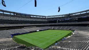 WM-Finale: FIFA-Zweitmarkt treibt Ticketpreise in Millionenh&ouml;he