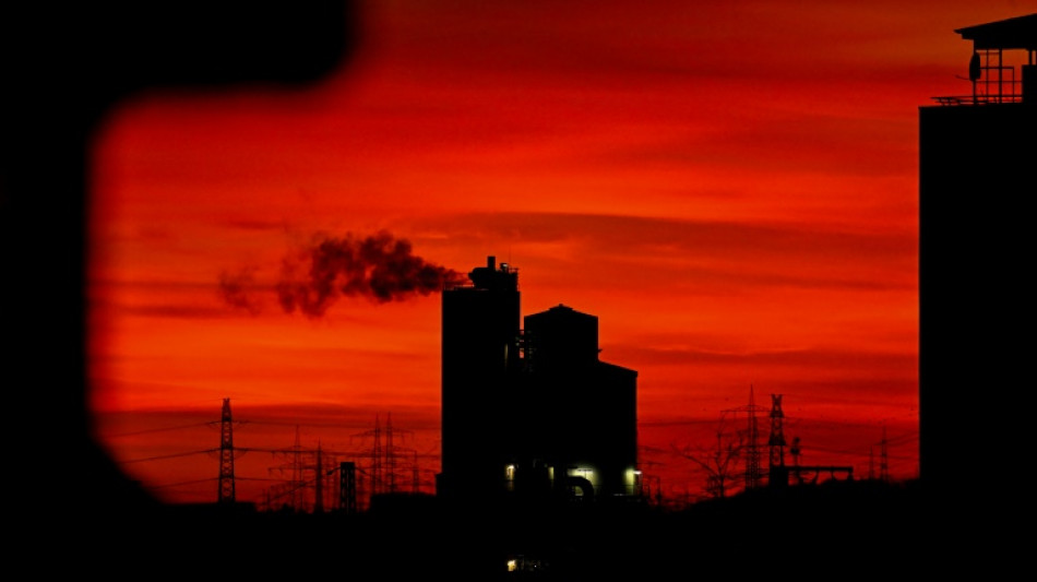 La producci&oacute;n industrial de Alemania sigui&oacute; cayendo en noviembre