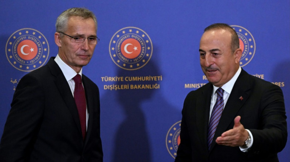 El primer ministro de Suecia viaja a Turqu&iacute;a para lograr apoyo a su entrada en la OTAN