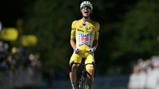 Tour de France: Pogacar remporte la 10e &eacute;tape et creuse encore l'&eacute;cart