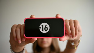 Le Parlement proche d'interdire les r&eacute;seaux sociaux aux moins de 15 ans, premi&egrave;re en Europe