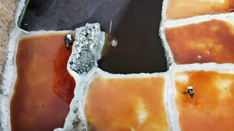 El comercio ancestral de sal busca un futuro en el S&aacute;hara de N&iacute;ger