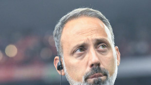 Matarazzo als Breitenreiter-Nachfolger im Gespr&auml;ch
