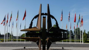 Nato einig &uuml;ber "Trump-sicheren" Ukraine-Hilfsplan