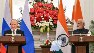 Putin bietet Indien "kontinuierliche" &Ouml;llieferungen an