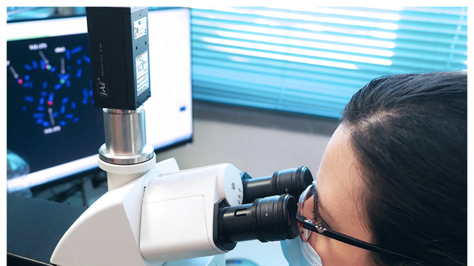 Nel cervello un sistema operativo gi&agrave; configurato alla nascita