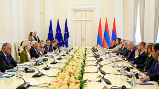 Blumen aus Eriwan: EU k&uuml;ndigt Finanzhilfe und Importerleichterungen f&uuml;r Armenien an