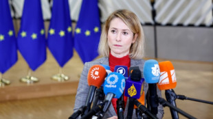 Iran: l'UE pr&ecirc;te &agrave; accentuer la pression sur les Gardiens de la R&eacute;volution, sanctionne un ministre