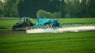 Ac&eacute;tamipride et flupyradifurone: comment deux pesticides interdits vont &ecirc;tre r&eacute;introduits