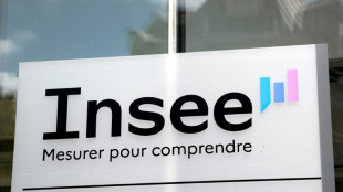 L'Insee d&eacute;voile la croissance fran&ccedil;aise du 2e trimestre, apr&egrave;s un recul au 1er trimestre