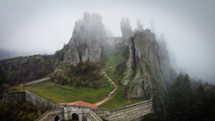 Invitan a Elon Musk a visitar una regi&oacute;n pobre de Bulgaria 