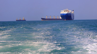 Las repercusiones en la econom&iacute;a mundial de la tensi&oacute;n en el mar Rojo