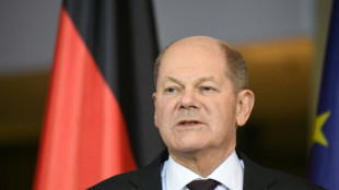 Alemania toma medidas contra la financiaci&oacute;n de la extrema derecha