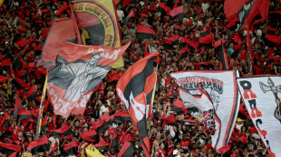 Peru refor&ccedil;a controles por chegada de torcedores brasileiros para final da Libertadores